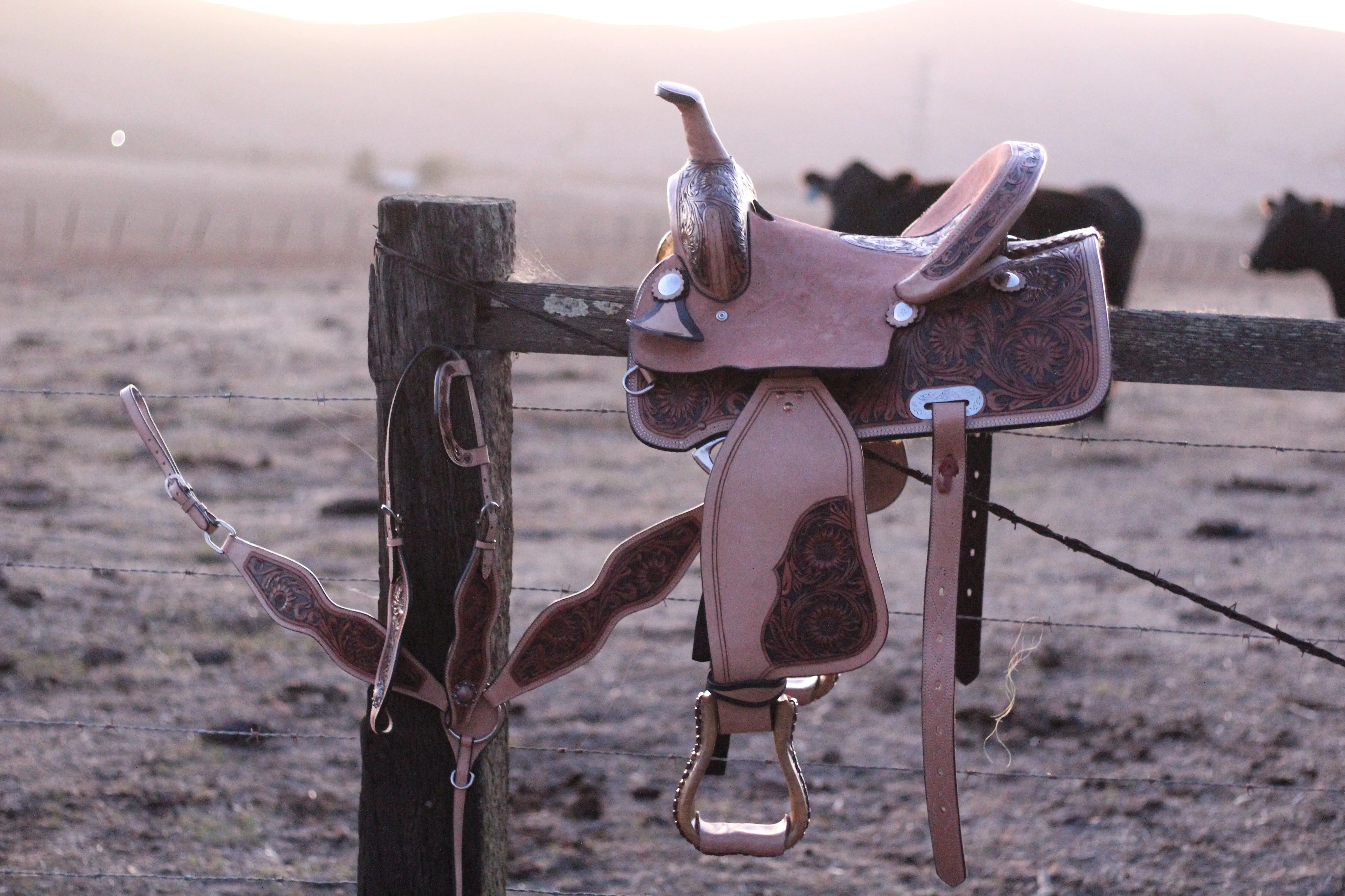 13" Sunflower Darlin' Set | Saddle   Tack Gift Bundle