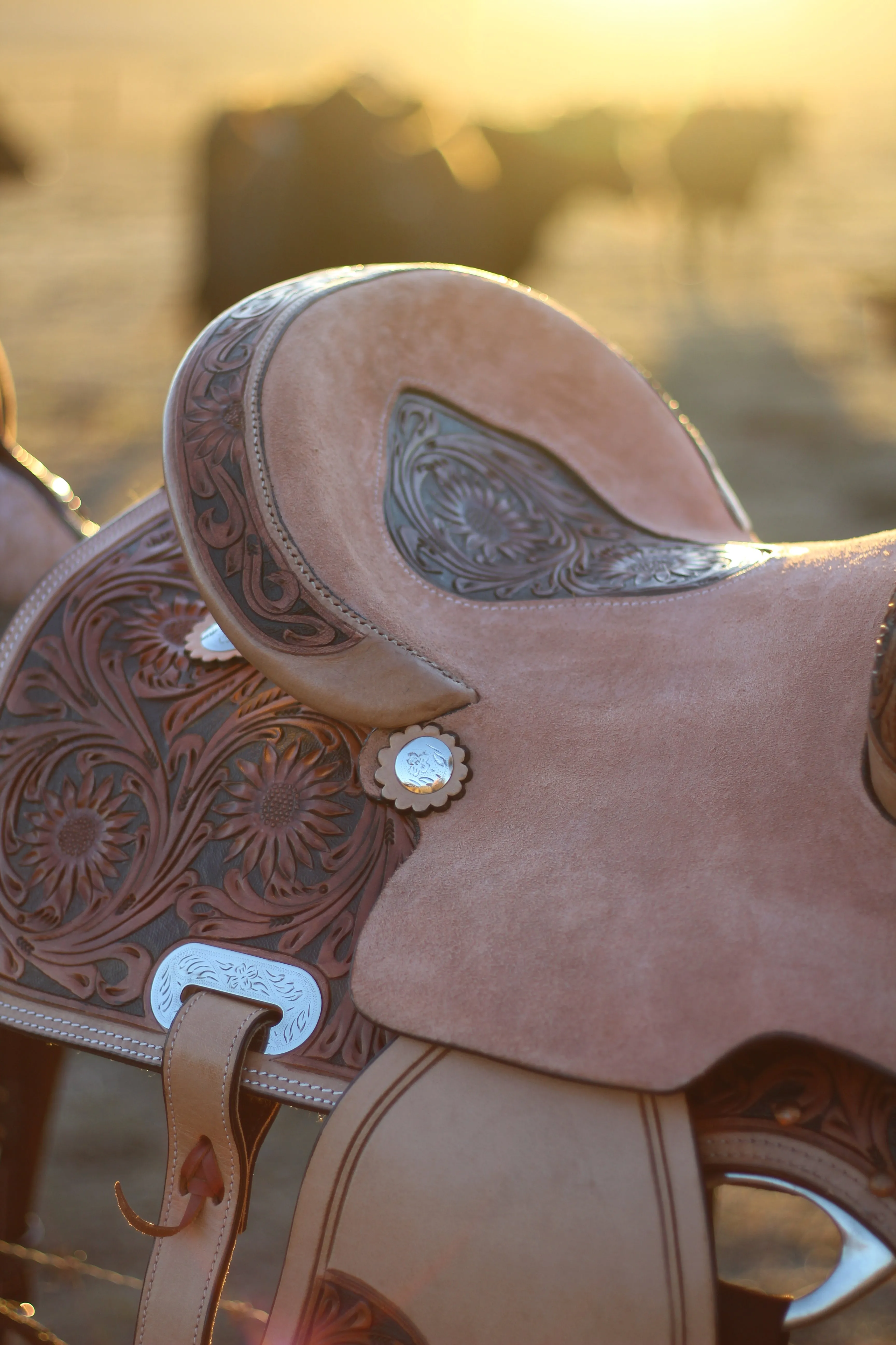 13" Sunflower Darlin' Set | Saddle   Tack Gift Bundle