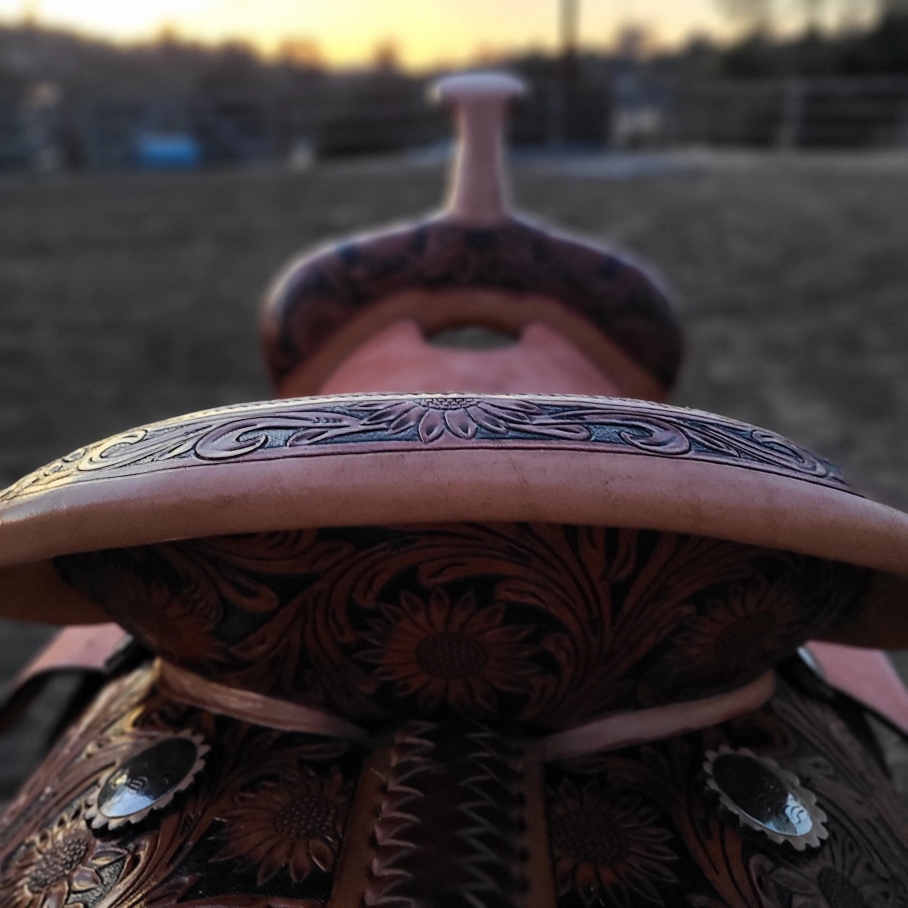 13" Sunflower Darlin' Set | Saddle   Tack Gift Bundle