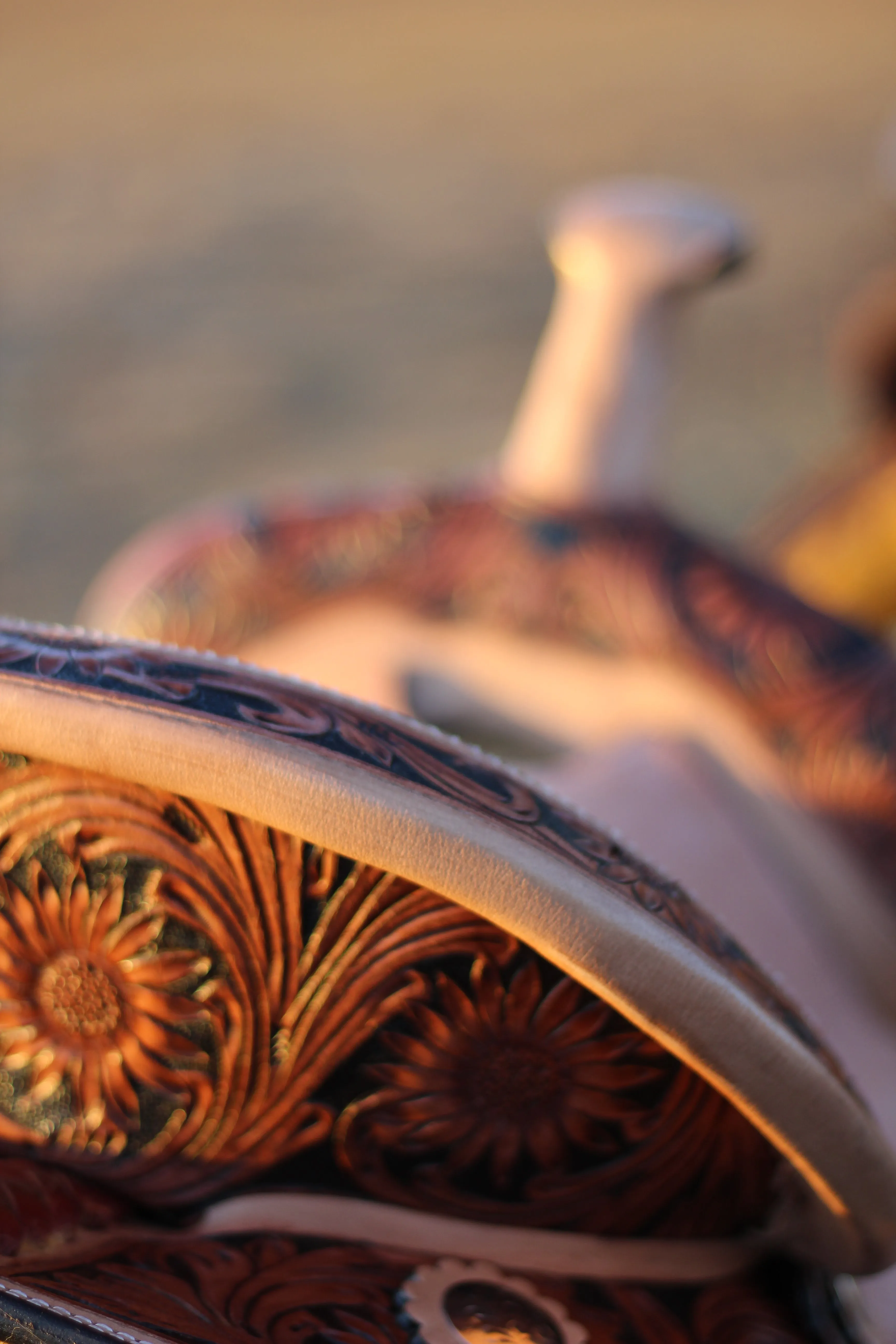 13" Sunflower Darlin' Set | Saddle   Tack Gift Bundle