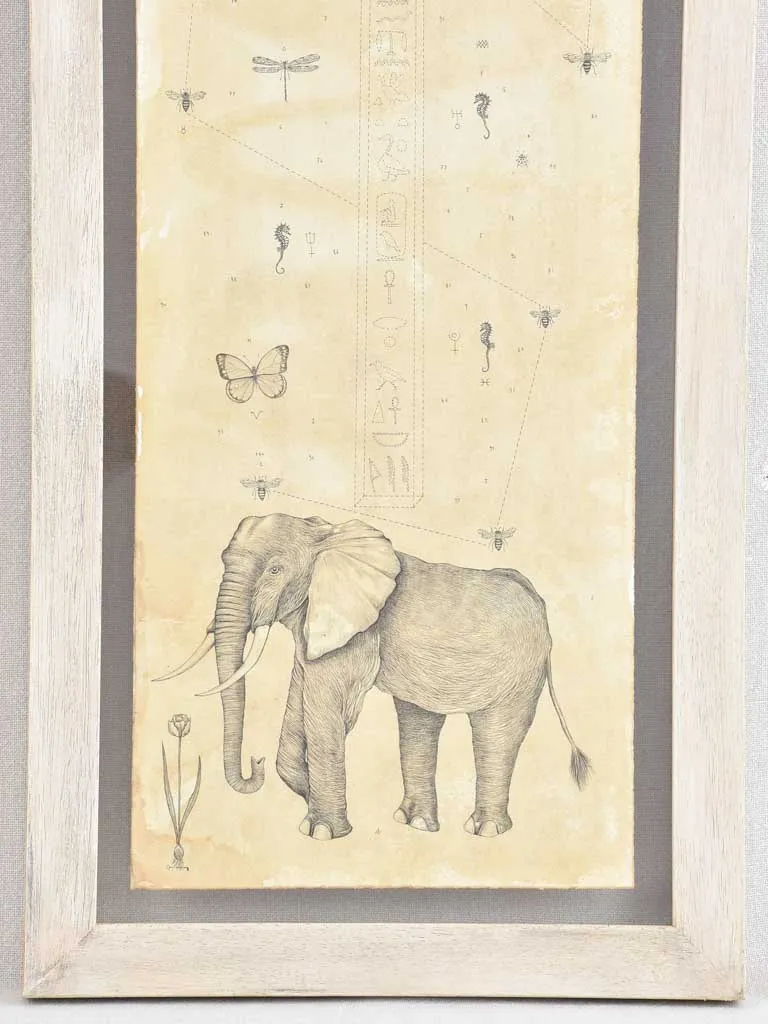 2 Andrea Collesano drawings - rhinoceros & elephant 47¾" x 14¼"