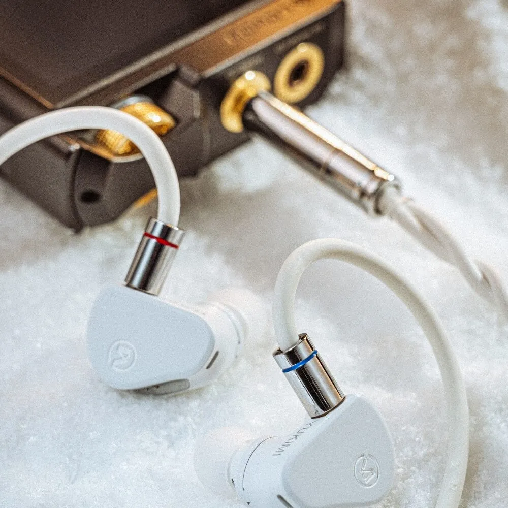 CVJ YUKIMI New-Gen 10mm Dynamic Driver In-Ear Earphone