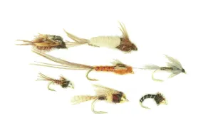 Eastern Nymph Assortment--48 Flies #25