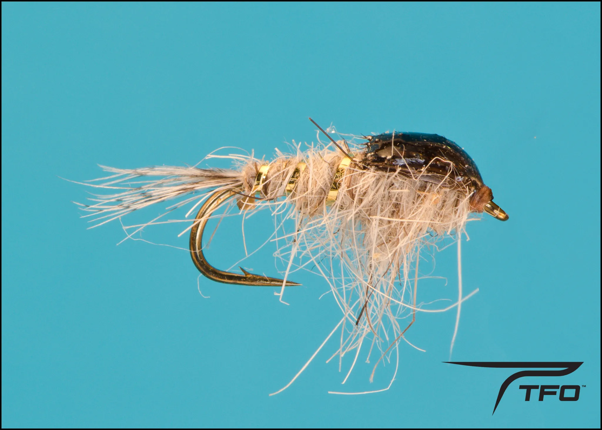 Gold Ribbed Hare's Ear -Poxyback