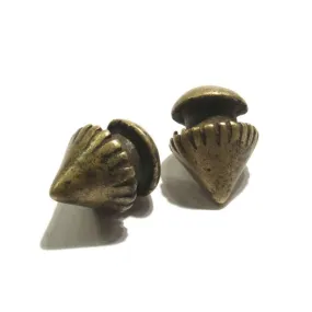Lobi 19th Century Brass Ear Plugs