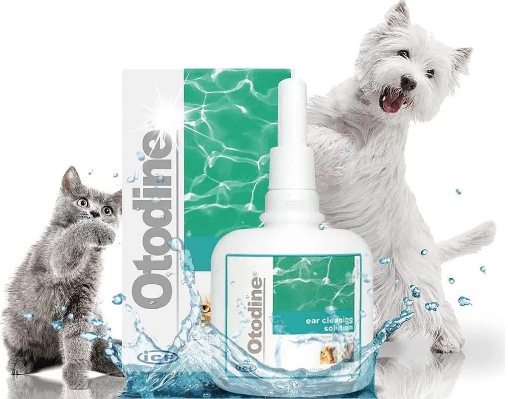 Otodine 100 ml, Medicinal preparation for the ears of dogs and cats
