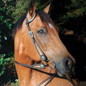 SIERRA Cookie & Cream Double Ear Headstall