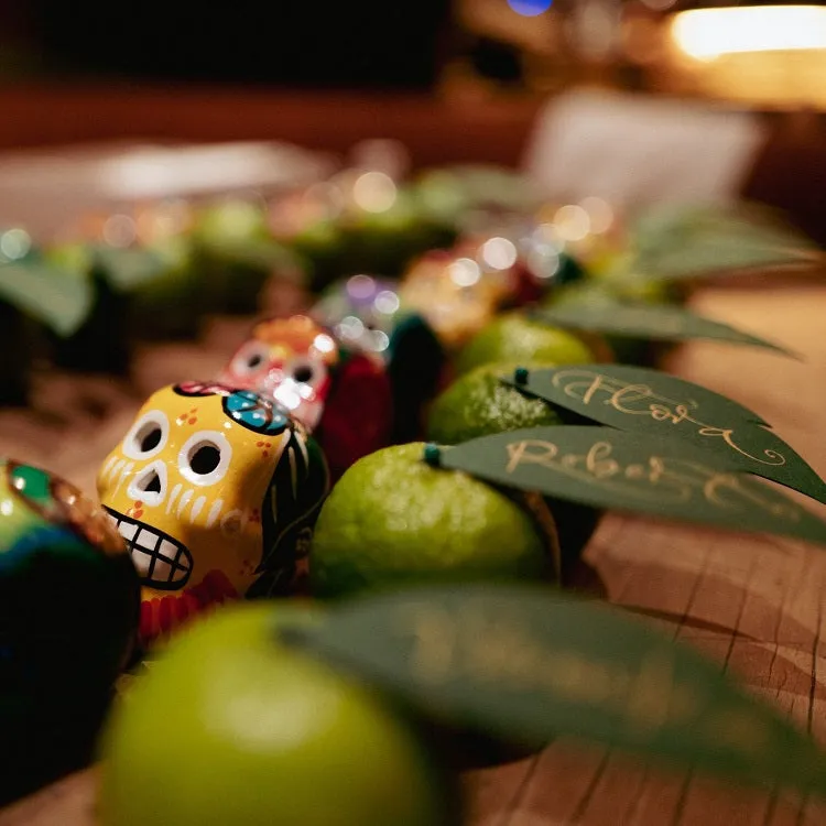 Sugar Skull Ornaments 16 Colour Collection